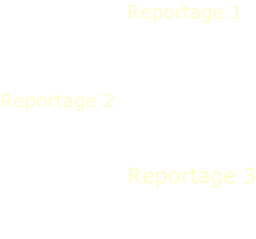 Reportage 1    Reportage 2 																  Reportage 3
