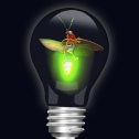 Grafikdesign